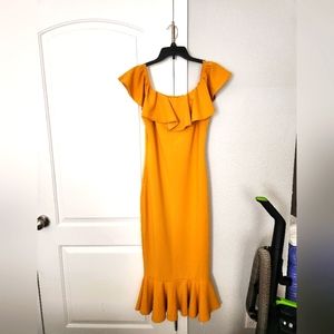 Fashion Nova  Dress size XL